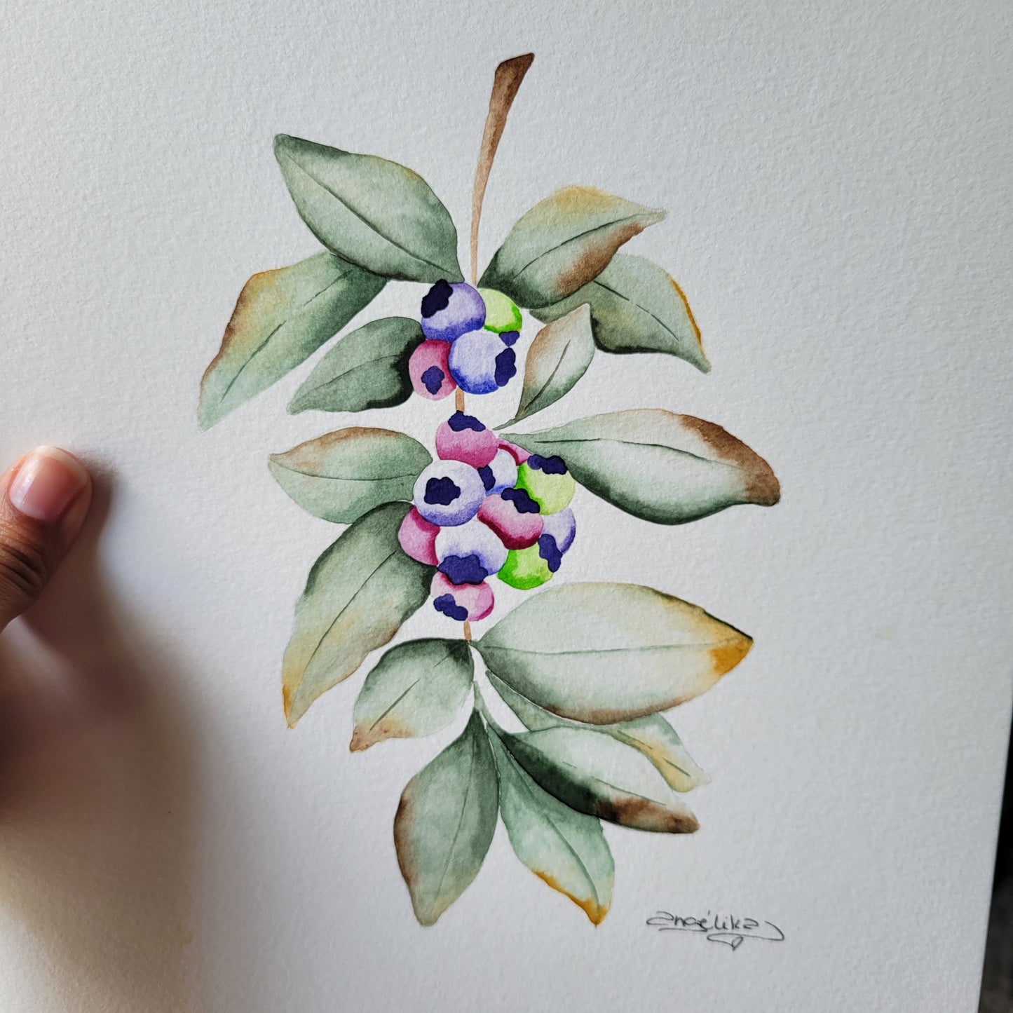 Blueberries Watercolor Painting Original
