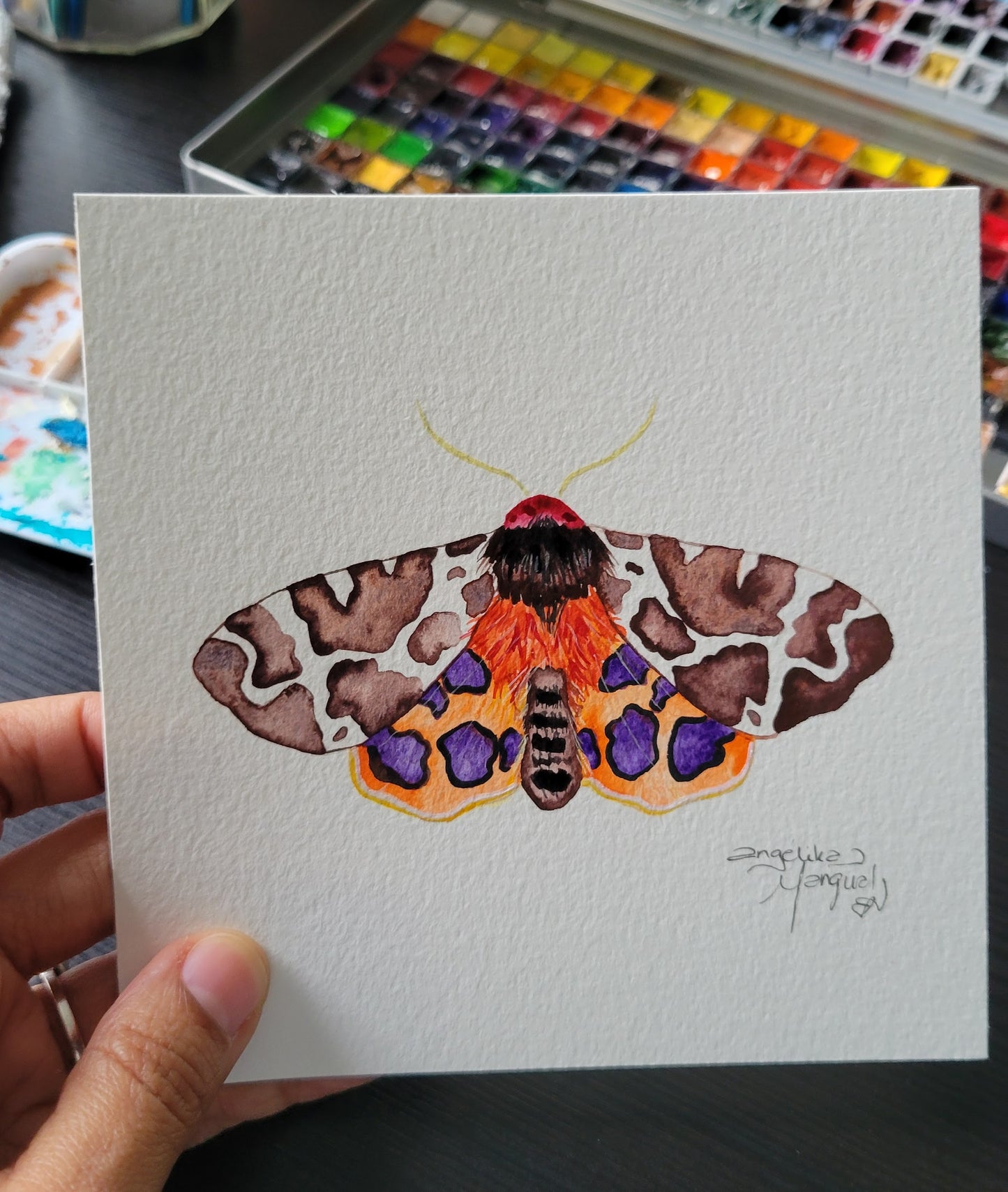 Moth 1/20 Watercolor Collection
