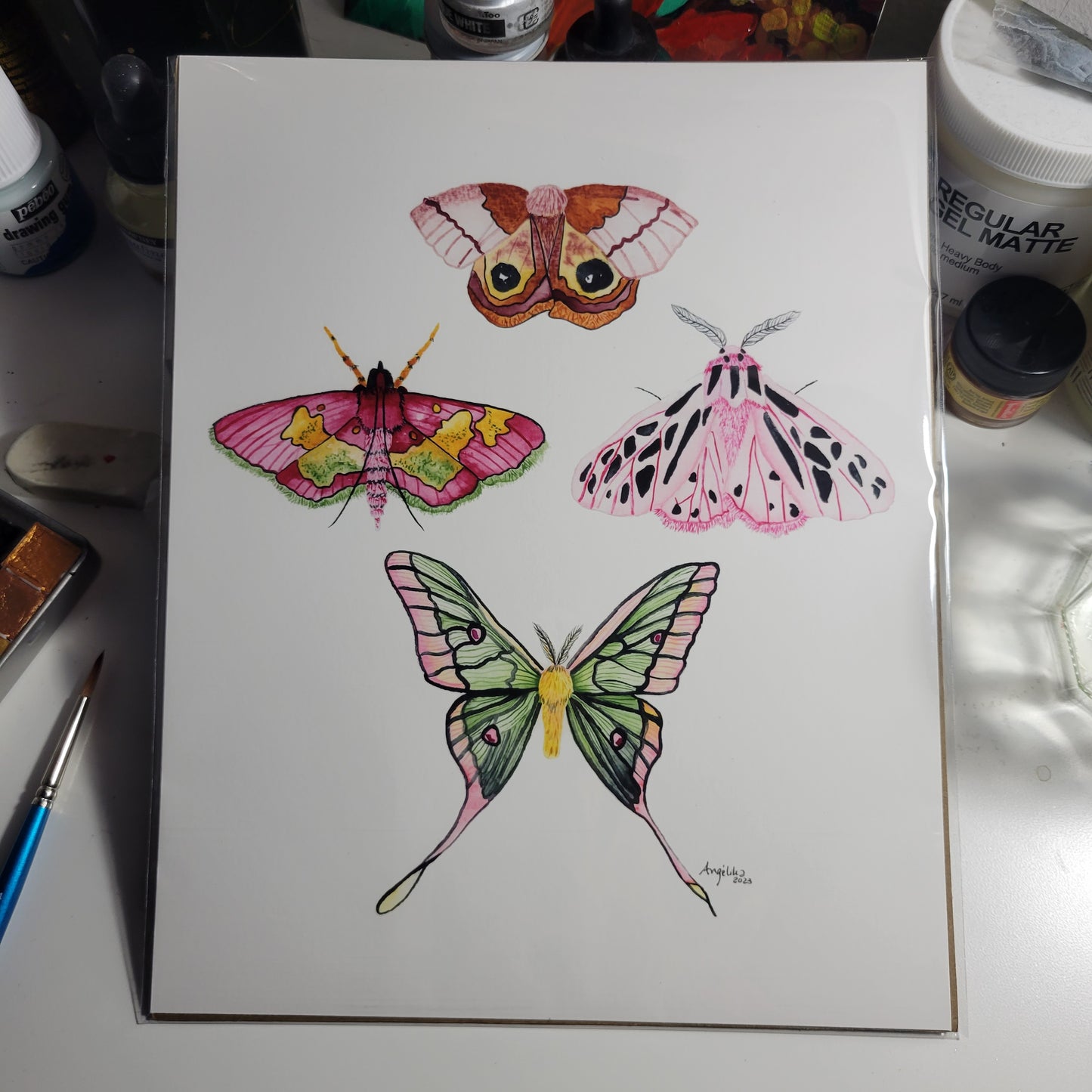 Seasonal Moths Palette" Watercolor Art Print