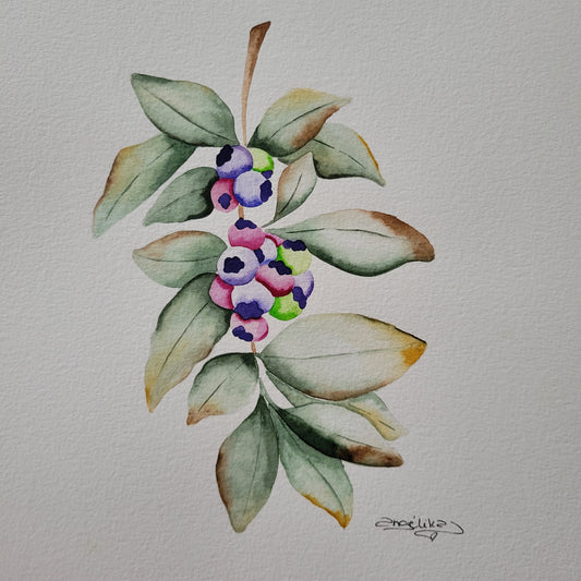 Blueberries Watercolor Painting Original