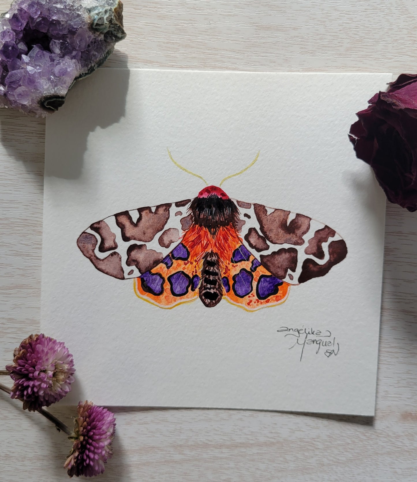 Moth 1/20 Watercolor Collection