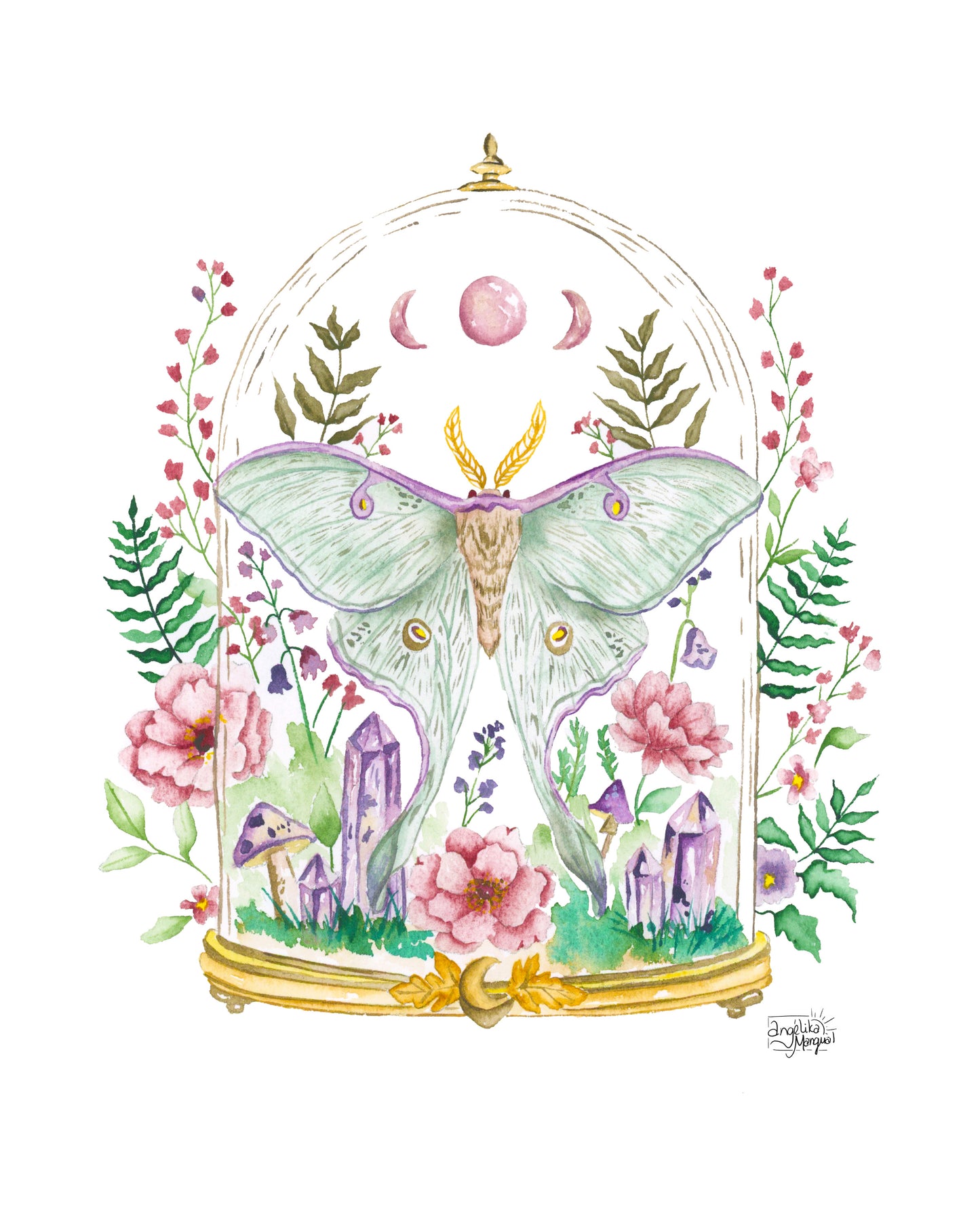 Moth Terrarium Art Print
